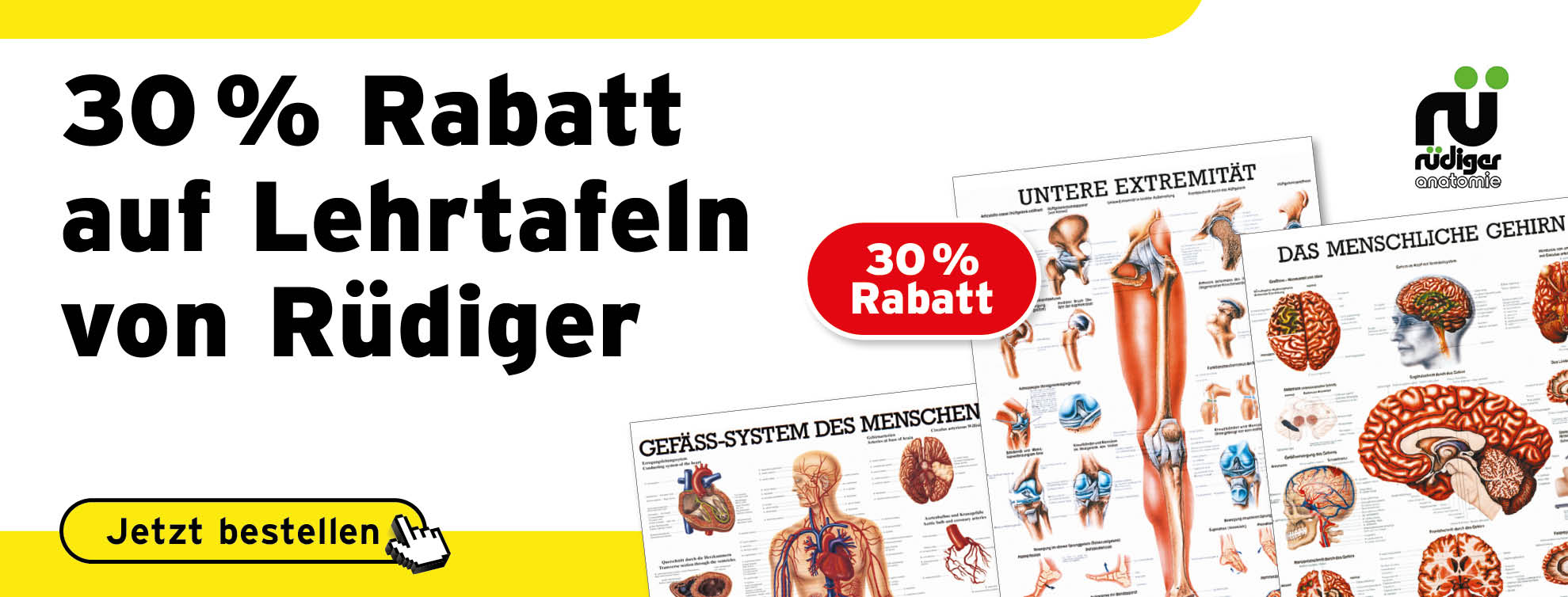 naturheilkunde, lehrtafeln, anatomie, ruediger