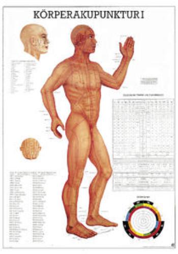 Lehrtafel Körperakupunktur I 70x100cm, 1St