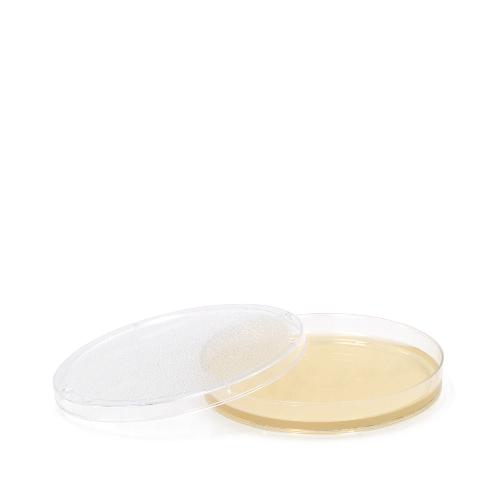 Merckoplate Sabouraud Glucose 2% Agar Nährböden, 10St Merckoplate Sabouraud Glucose 2% Agar Nährböden, 10St