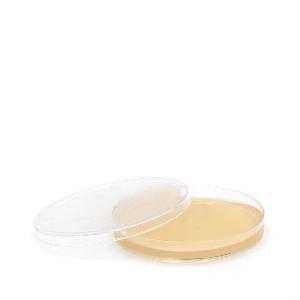 Müller Hinton Agar, Nährböden, 10St