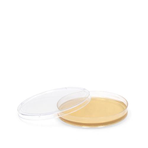 Kimmig-Agar Nährböden, 10St Kimmig-Agar Nährböden, 10St