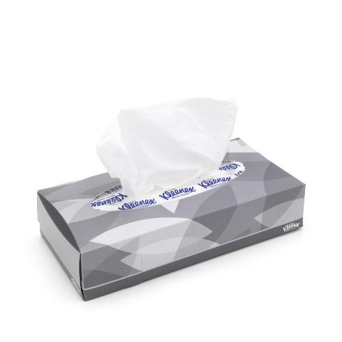 Tissues, weiß, 21,5 x 18,5 cm, Spenderbox, 100 Tücher